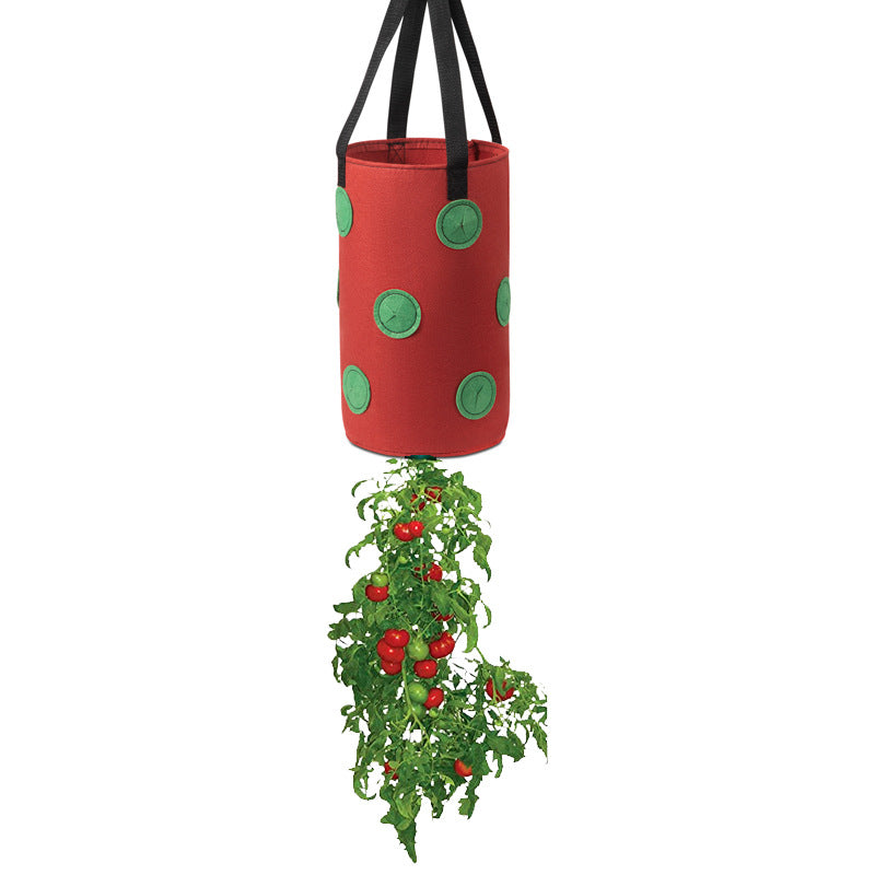 ZenGrow Felt Planter — strawberries growing in vertical hanging bag on fence