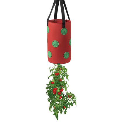 ZenGrow Felt Planter — strawberries growing in vertical hanging bag on fence