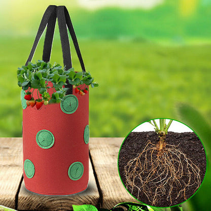 ZenGrow Felt Grow Bag — multiple bags mounted side by side for vertical garden wall