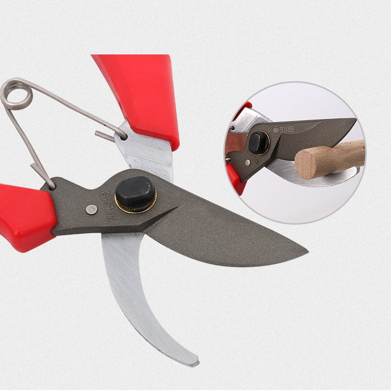 ZenGrow Pruning Shears — suitable for tomatoes, peppers, herbs and flowers