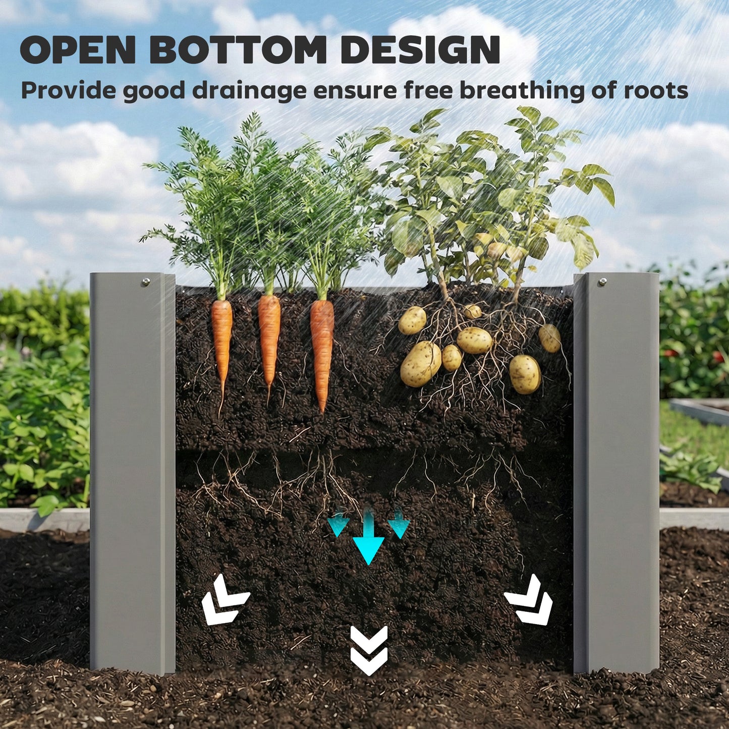 ZenGrow Raised Bed — inside view showing depth for root growth