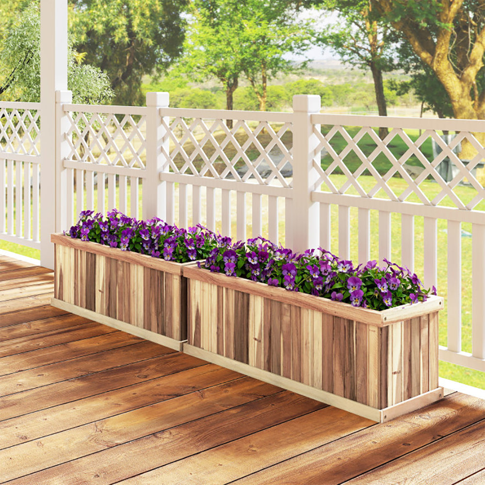ZenGrow Acacia Bed — rectangular form suitable for greenhouse or patio placement